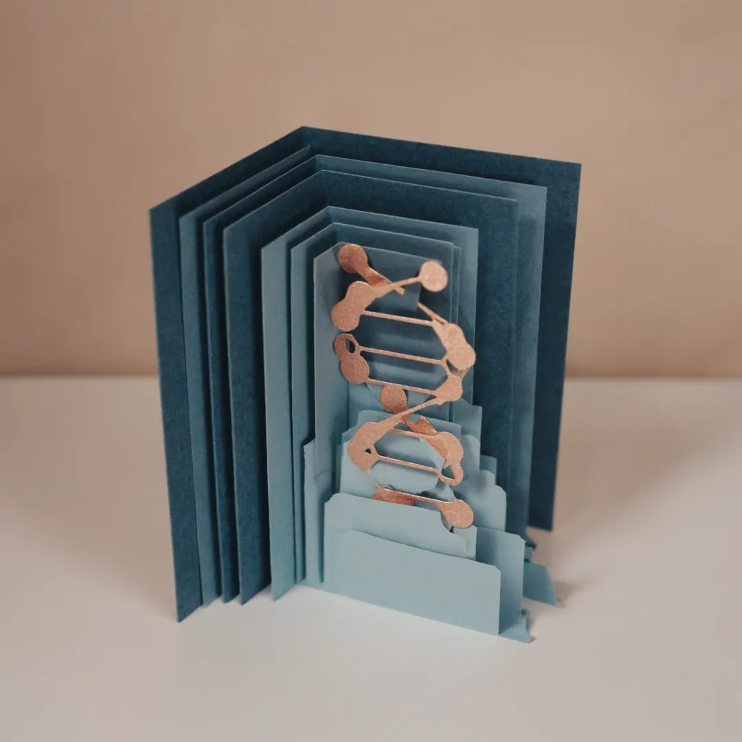 Layered teal papercut diorama with a copper DNA helix at its centre