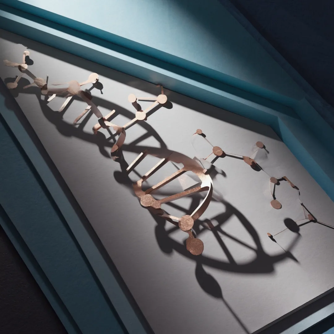 Layered papercut artwork of a DNA double helix in copper and cream paper