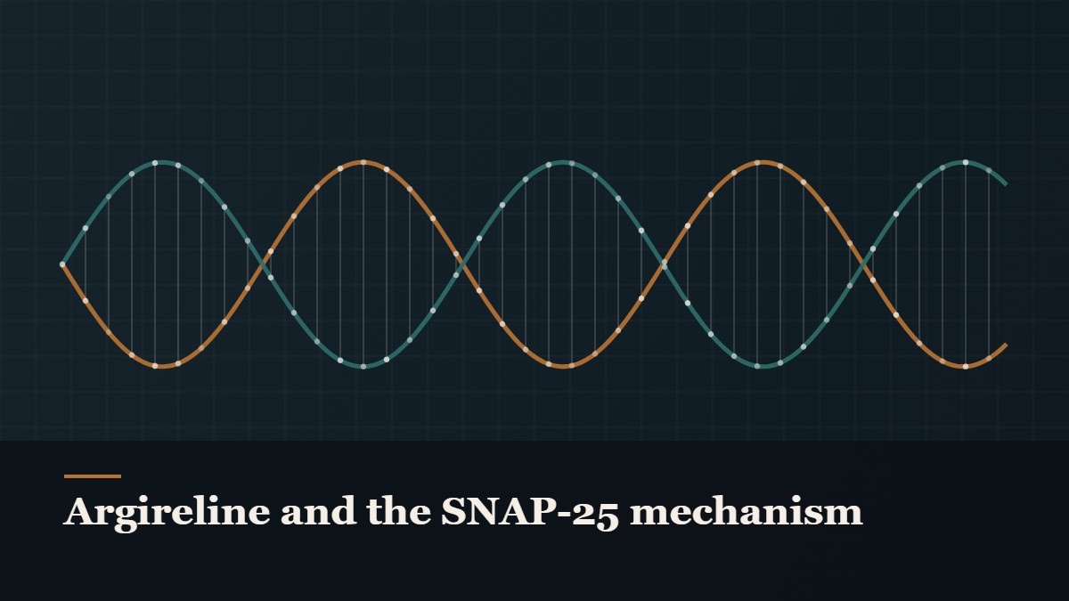 Illustrated double-helix diagram in copper and teal, captioned “Argireline and the SNAP-25 mechanism”