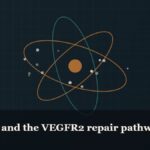 Illustrated molecular orbit diagram with concentric rings, captioned “BPC-157 and the VEGFR2 repair pathway”