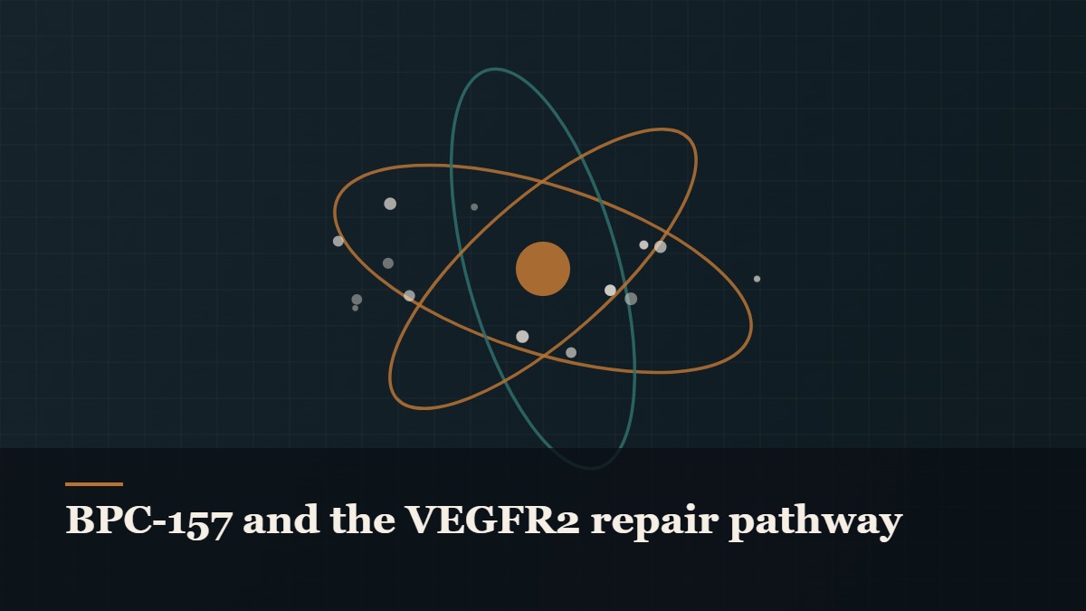 Illustrated molecular orbit diagram with concentric rings, captioned “BPC-157 and the VEGFR2 repair pathway”