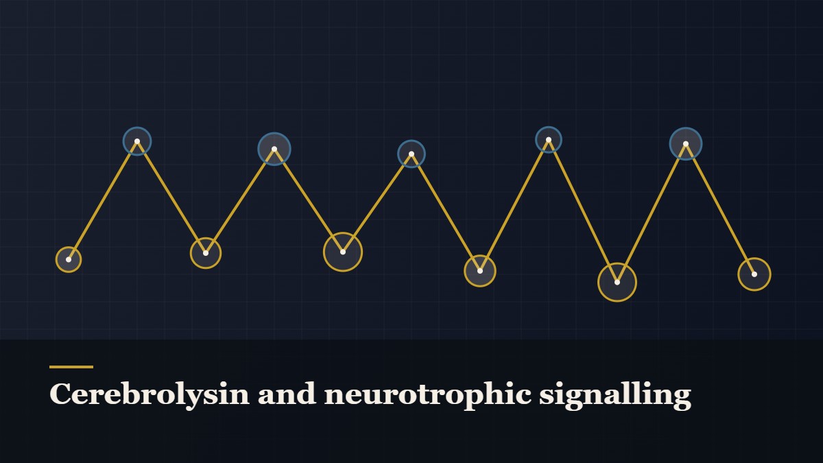 Illustrated chain of linked amino-acid nodes, captioned “Cerebrolysin and neurotrophic signalling”