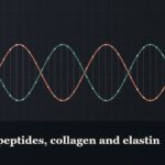 Illustrated double-helix diagram in copper and teal, captioned “Copper peptides, collagen and elastin”