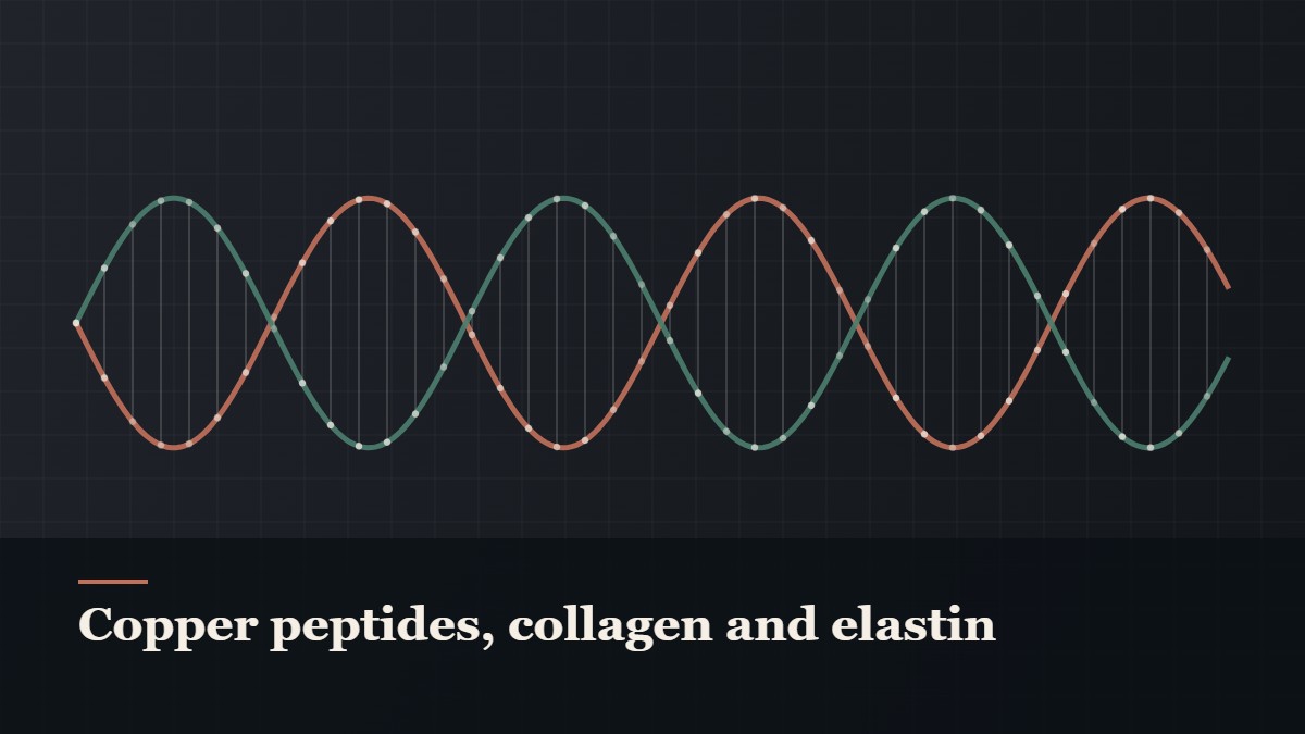 Illustrated double-helix diagram in copper and teal, captioned “Copper peptides, collagen and elastin”