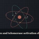 Illustrated molecular orbit diagram with concentric rings, captioned “Epithalon and telomerase activation claims”