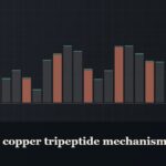 Illustrated bar-graph style data graphic, captioned “GHK-Cu copper tripeptide mechanism”