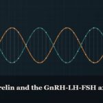 Illustrated double-helix diagram in copper and teal, captioned “Gonadorelin and the GnRH-LH-FSH axis”