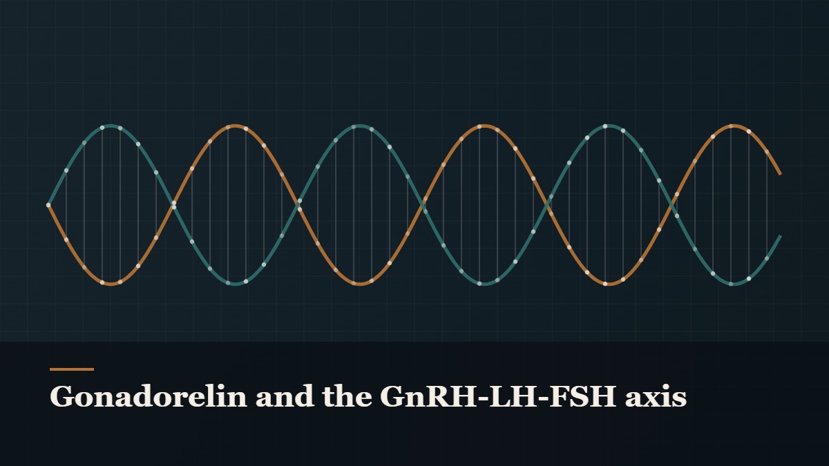 Illustrated double-helix diagram in copper and teal, captioned “Gonadorelin and the GnRH-LH-FSH axis”