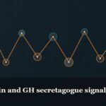 Illustrated chain of linked amino-acid nodes, captioned “Hexarelin and GH secretagogue signalling”