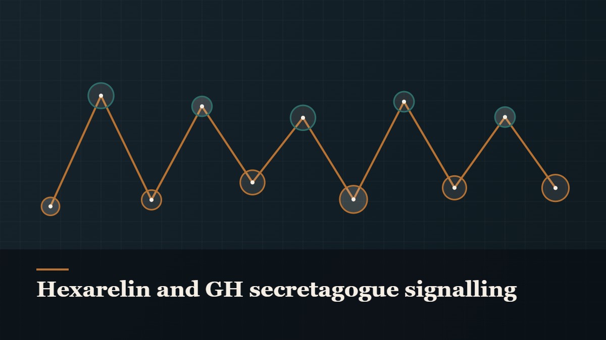 Illustrated chain of linked amino-acid nodes, captioned “Hexarelin and GH secretagogue signalling”