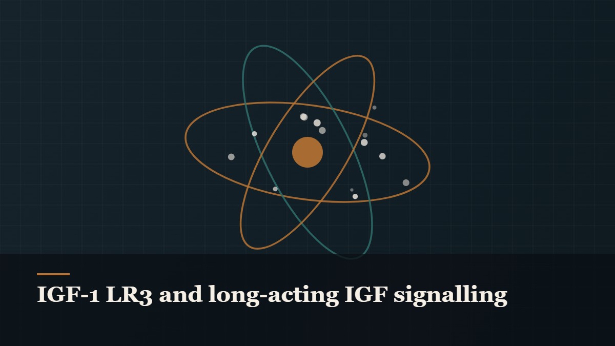 Illustrated molecular orbit diagram with concentric rings, captioned “IGF-1 LR3 and long-acting IGF signalling”