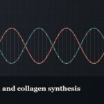 Illustrated double-helix diagram in copper and teal, captioned “Matrixyl and collagen synthesis”