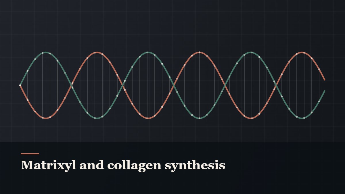 Illustrated double-helix diagram in copper and teal, captioned “Matrixyl and collagen synthesis”