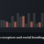 Illustrated bar-graph style data graphic, captioned “Oxytocin receptors and social bonding”