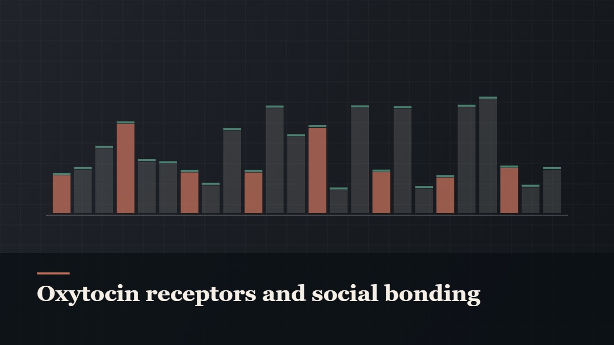 Illustrated bar-graph style data graphic, captioned “Oxytocin receptors and social bonding”