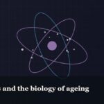 Illustrated molecular orbit diagram with concentric rings, captioned “Peptides and the biology of ageing”