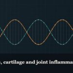 Illustrated double-helix diagram in copper and teal, captioned “Peptides, cartilage and joint inflammation”