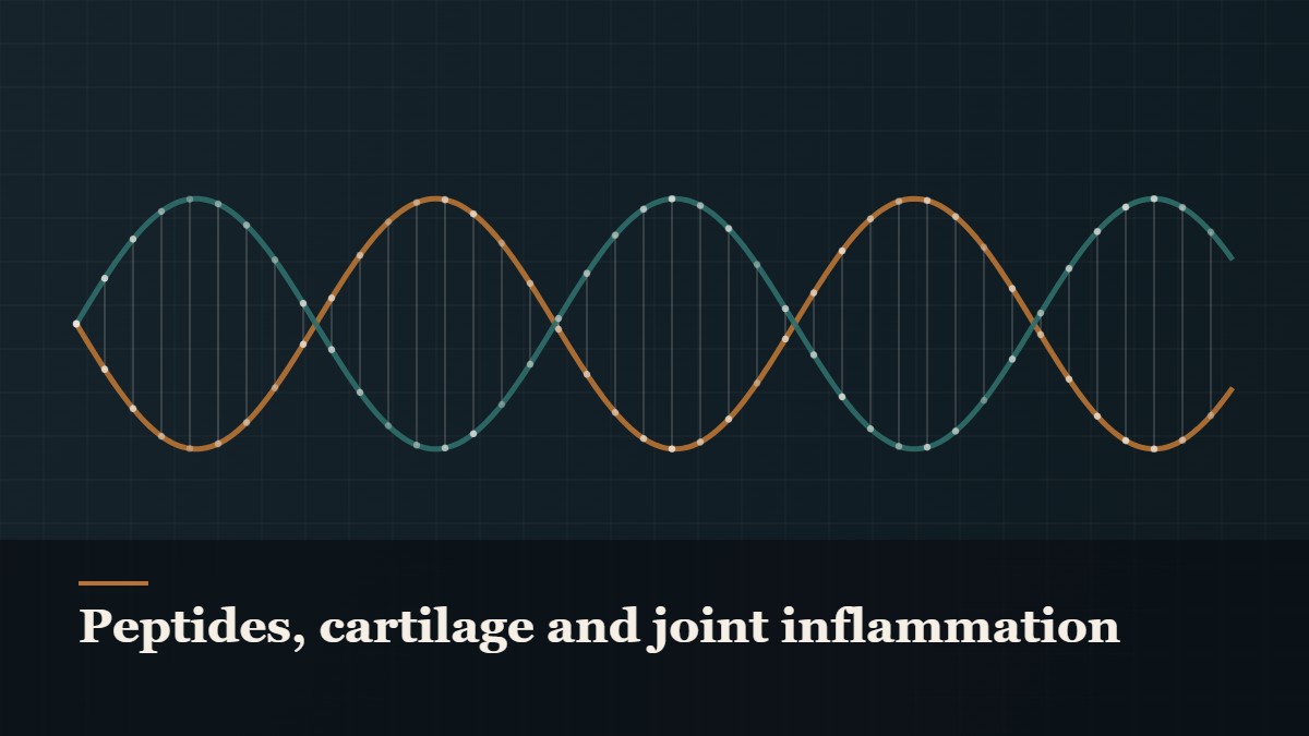 Illustrated double-helix diagram in copper and teal, captioned “Peptides, cartilage and joint inflammation”