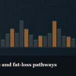 Illustrated bar-graph style data graphic, captioned “Peptides and fat-loss pathways”