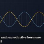 Illustrated double-helix diagram in copper and teal, captioned “Peptides and reproductive hormone signalling”