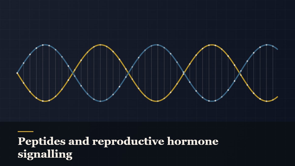 Illustrated double-helix diagram in copper and teal, captioned “Peptides and reproductive hormone signalling”