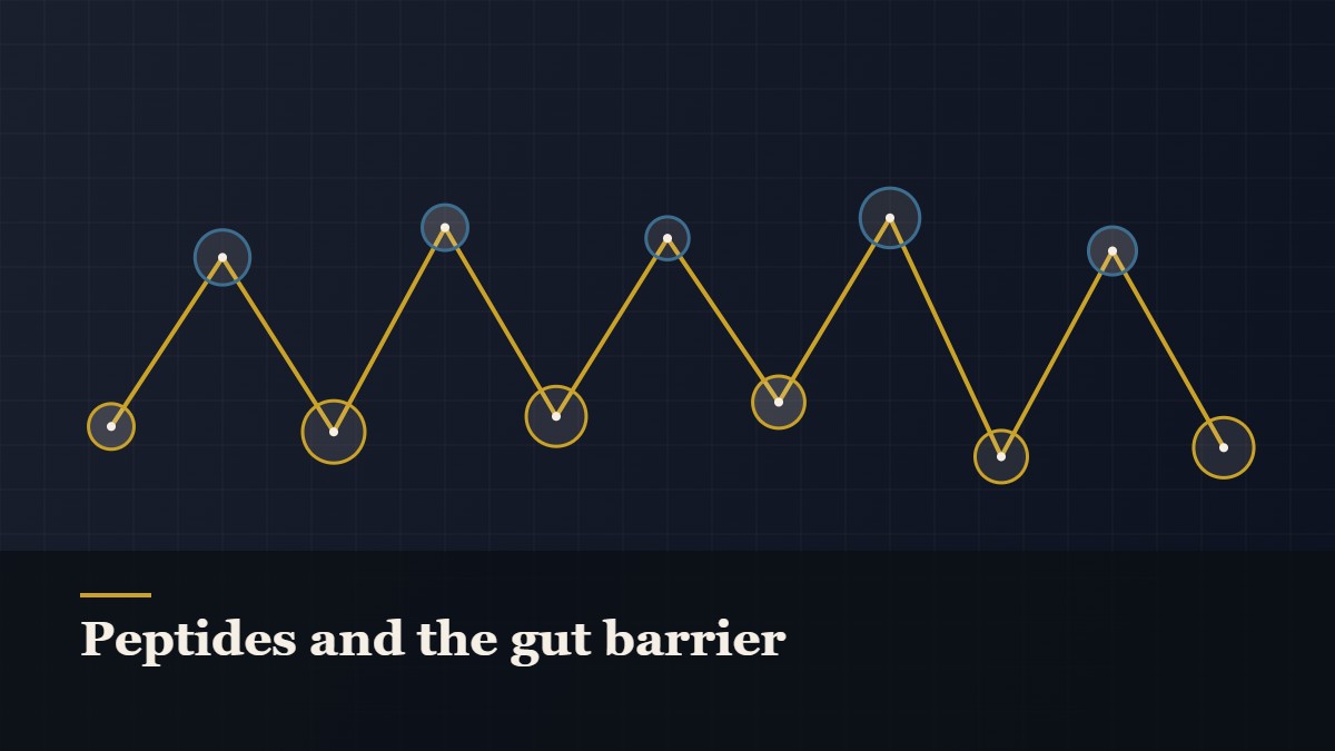 Illustrated chain of linked amino-acid nodes, captioned “Peptides and the gut barrier”