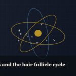 Illustrated molecular orbit diagram with concentric rings, captioned “Peptides and the hair follicle cycle”
