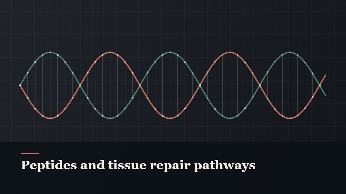 Illustrated double-helix diagram in copper and teal, captioned “Peptides and tissue repair pathways”