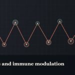 Illustrated chain of linked amino-acid nodes, captioned “Peptides and immune modulation”