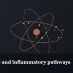 Illustrated molecular orbit diagram with concentric rings, captioned “Peptides and inflammatory pathways”