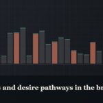 Illustrated bar-graph style data graphic, captioned “Peptides and desire pathways in the brain”