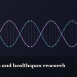Illustrated double-helix diagram in copper and teal, captioned “Peptides and healthspan research”