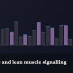 Illustrated bar-graph style data graphic, captioned “Peptides and lean muscle signalling”