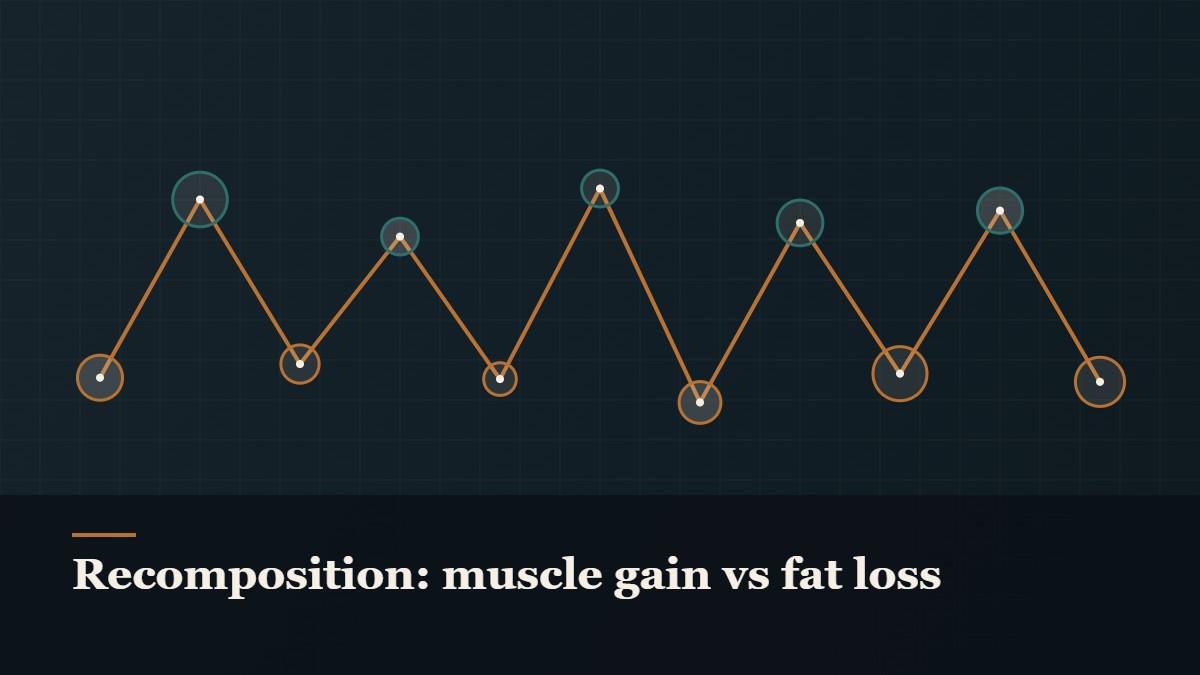 Illustrated chain of linked amino-acid nodes, captioned “Recomposition: muscle gain vs fat loss”