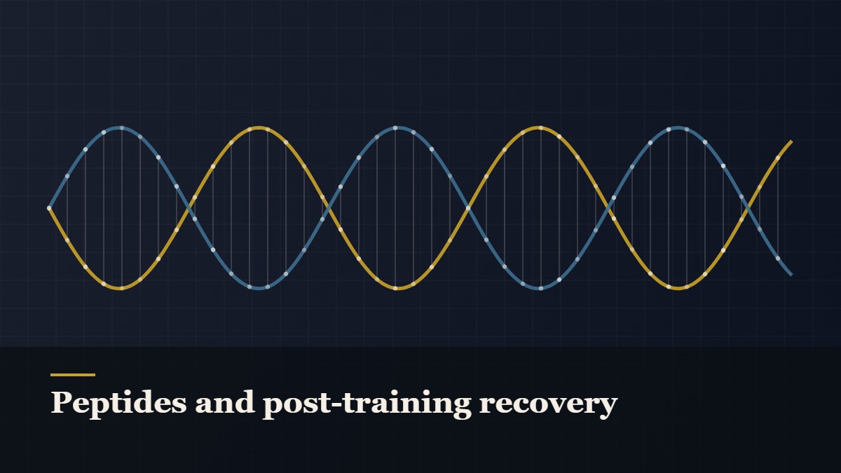 Illustrated double-helix diagram in copper and teal, captioned “Peptides and post-training recovery”
