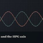Illustrated double-helix diagram in copper and teal, captioned “Peptides and the HPG axis”