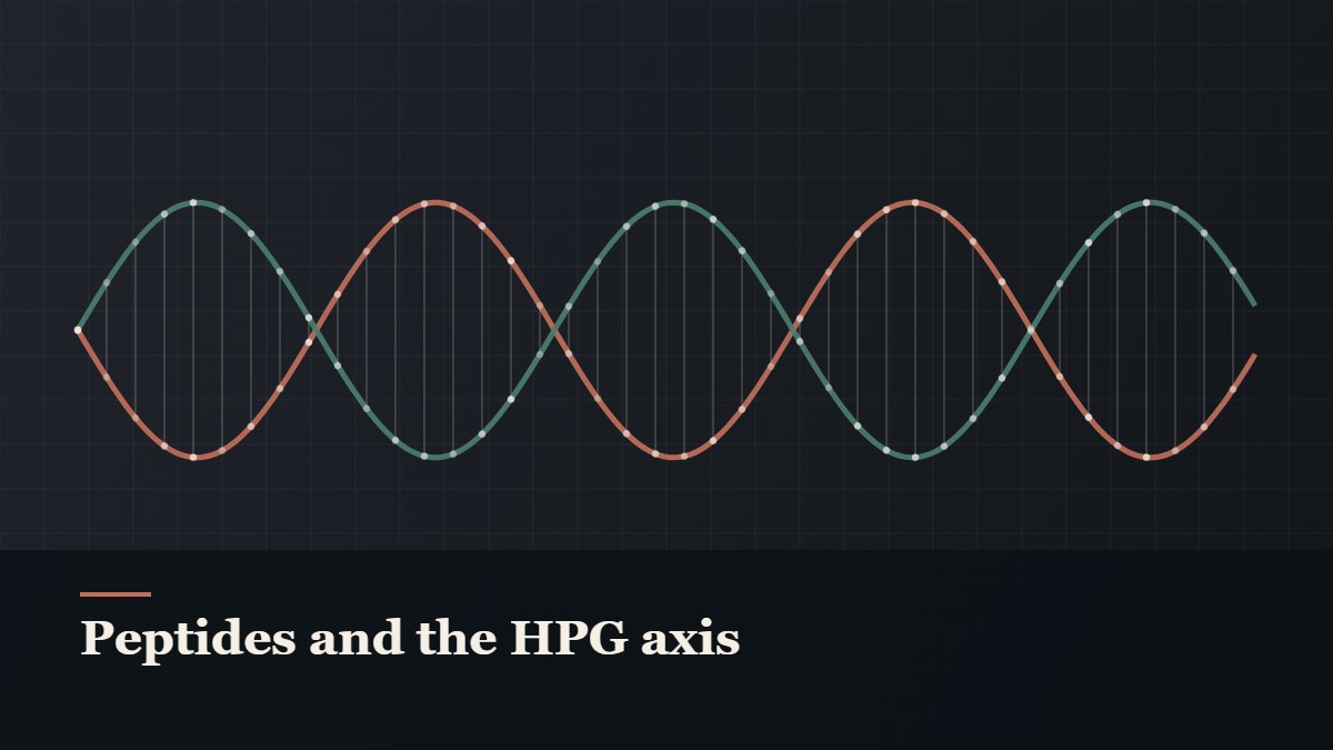 Illustrated double-helix diagram in copper and teal, captioned “Peptides and the HPG axis”