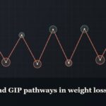 Illustrated chain of linked amino-acid nodes, captioned “GLP-1 and GIP pathways in weight loss”