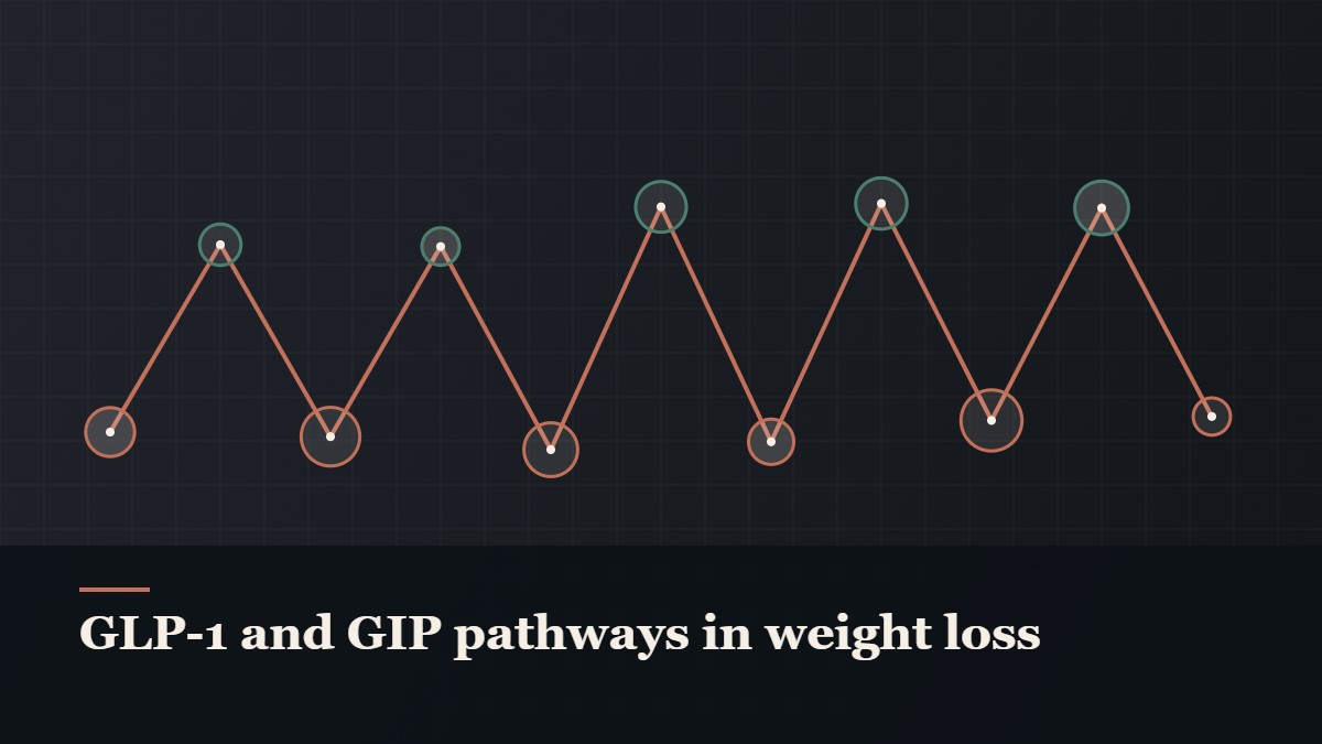 Illustrated chain of linked amino-acid nodes, captioned “GLP-1 and GIP pathways in weight loss”