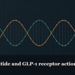 Illustrated double-helix diagram in copper and teal, captioned “Semaglutide and GLP-1 receptor action”