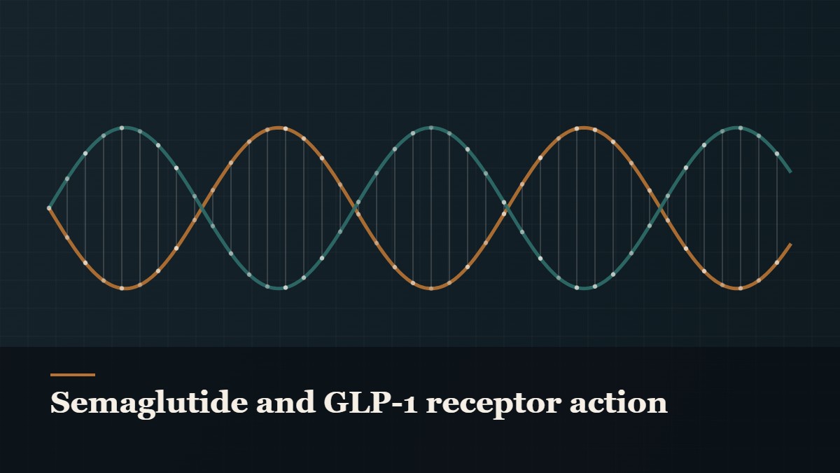 Illustrated double-helix diagram in copper and teal, captioned “Semaglutide and GLP-1 receptor action”