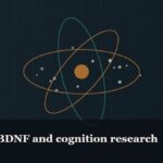 Illustrated molecular orbit diagram with concentric rings, captioned “Semax, BDNF and cognition research”