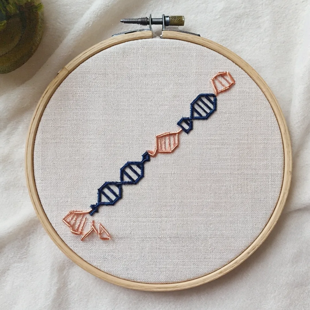 Embroidered peptide chain stitched in navy and copper thread on linen in a wooden hoop